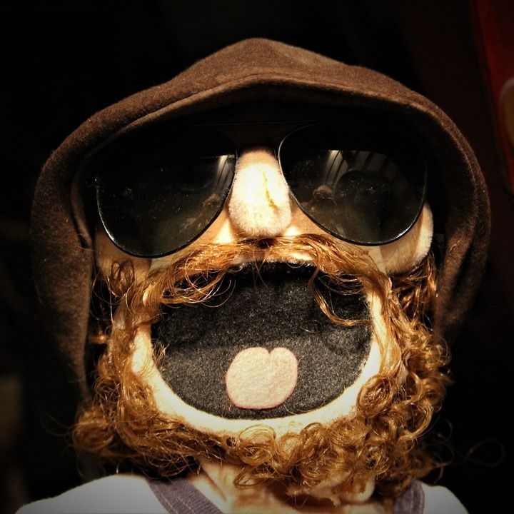 A bearded, hooded, muppet wearing aviator sunglasses.